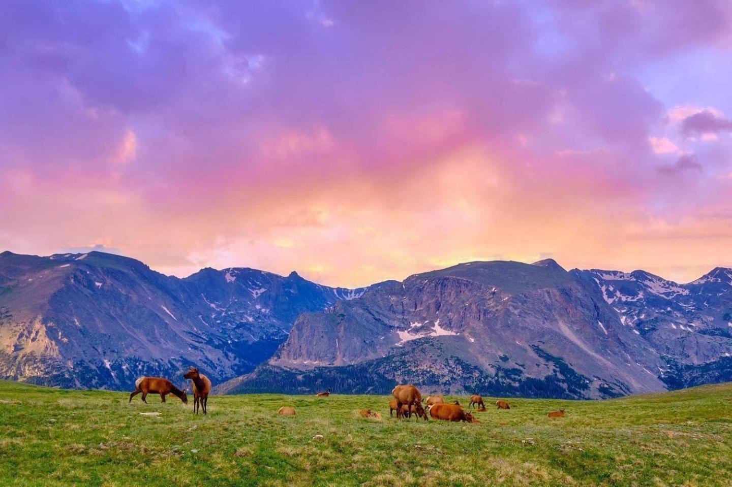 Frontier Mountain Retreat - Monthly Long-Term Vacation Rental 30 Days Minimum -- Estes Park Apts Luaran gambar