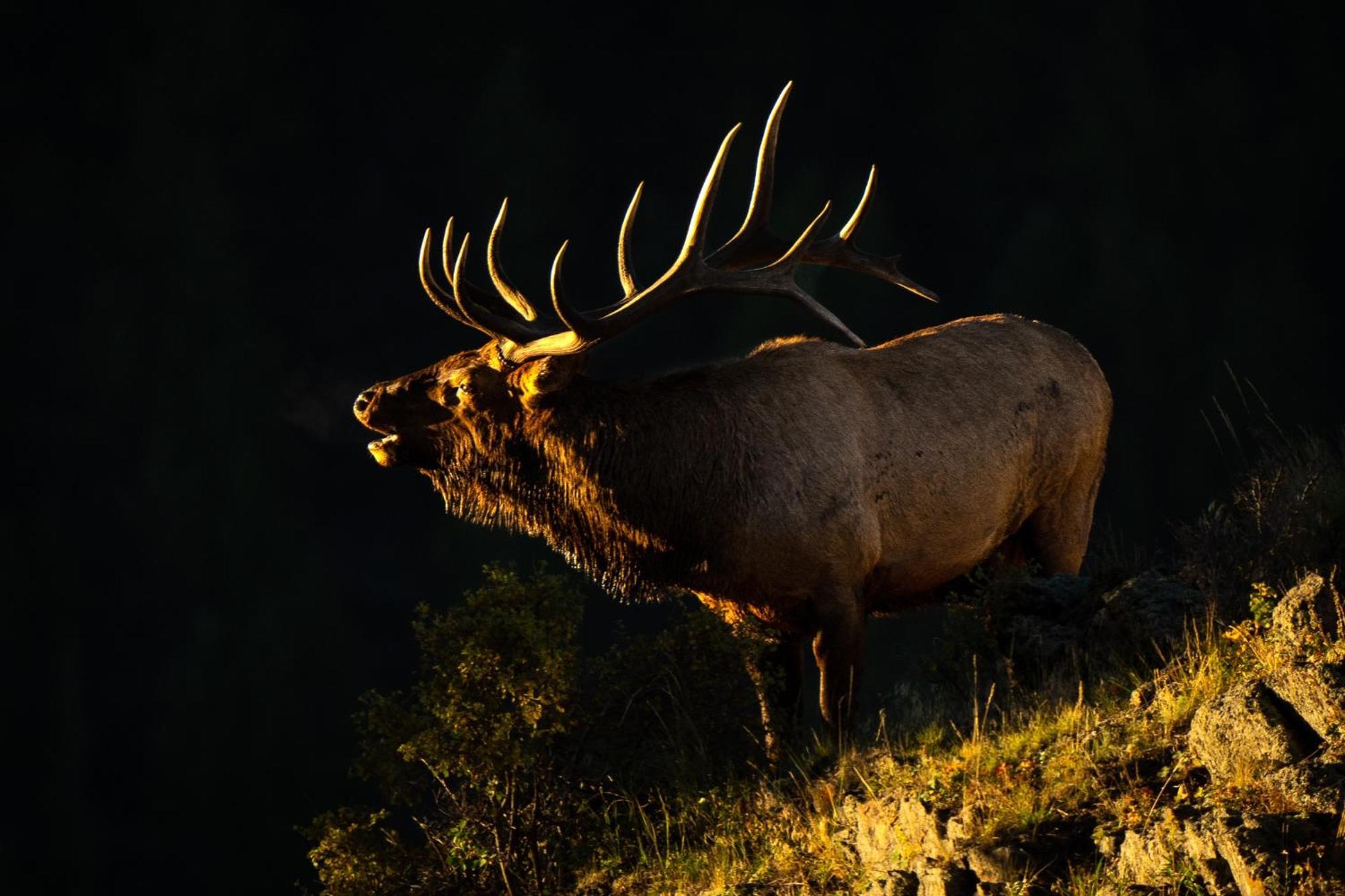 Frontier Mountain Retreat - Monthly Long-Term Vacation Rental 30 Days Minimum -- Estes Park Apts Luaran gambar