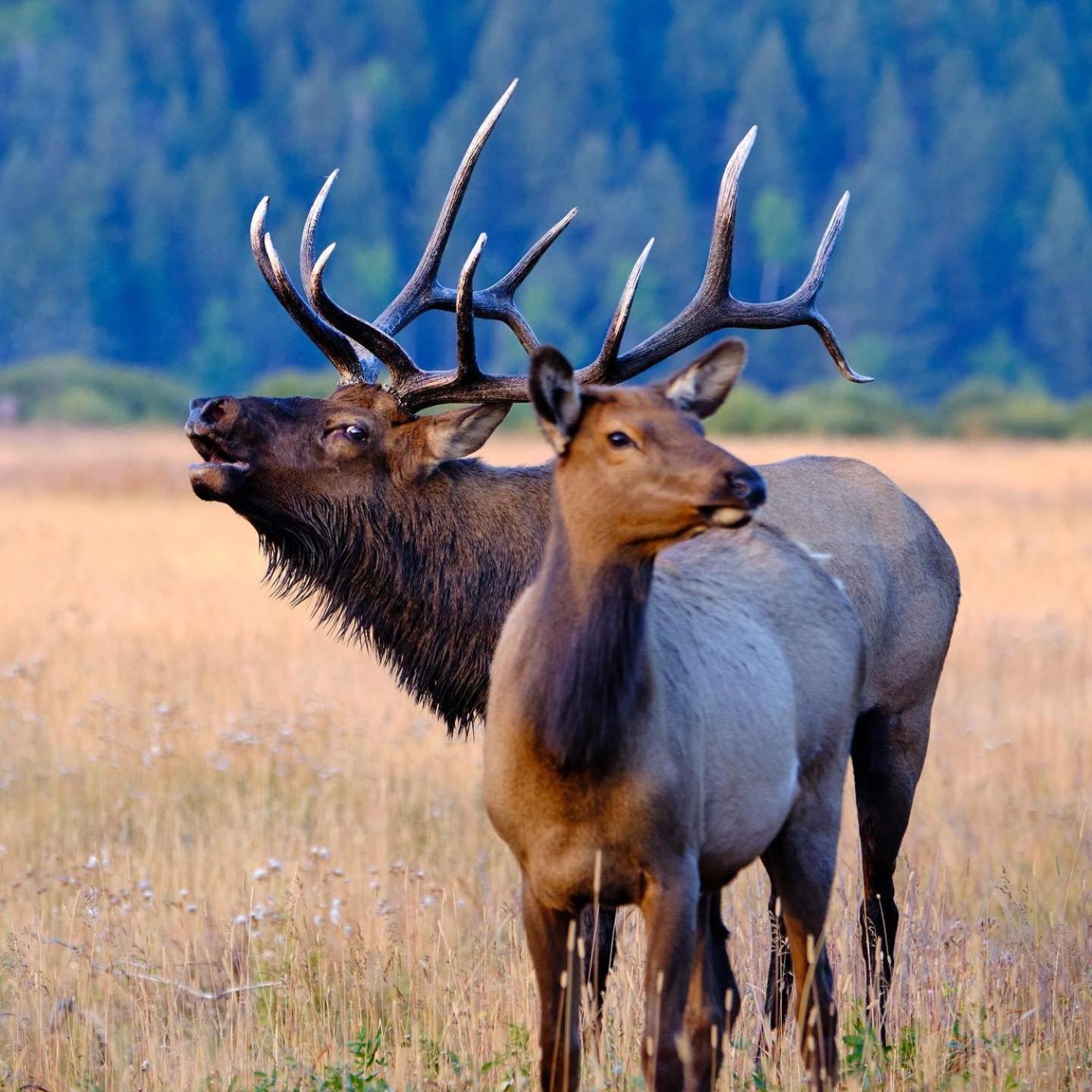 Frontier Mountain Retreat - Monthly Long-Term Vacation Rental 30 Days Minimum -- Estes Park Apts Luaran gambar