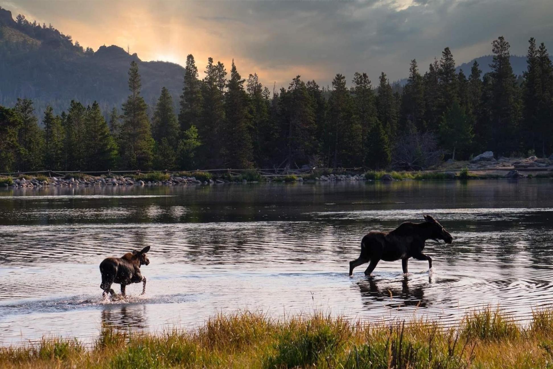 Frontier Mountain Retreat - Monthly Long-Term Vacation Rental 30 Days Minimum -- Estes Park Apts Luaran gambar
